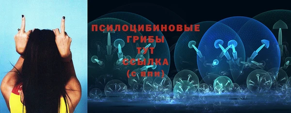 spice Нягань