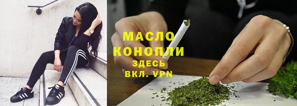 твердый Няндома