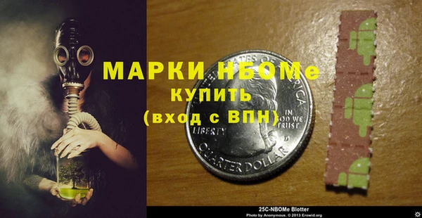 твердый Няндома