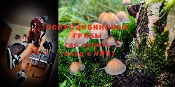 твердый Няндома