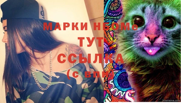 твердый Няндома