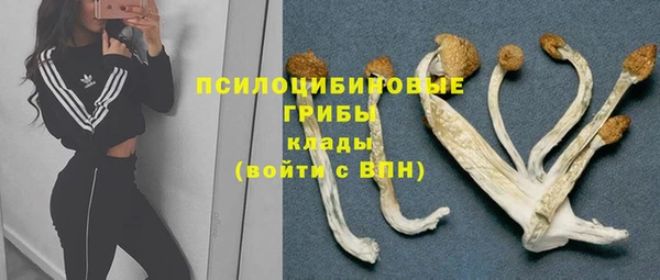 Альфа ПВП Нязепетровск